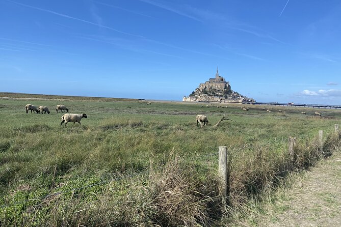 Day Trip to Mont-Saint-Michel From Rennes - Common Questions