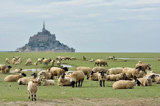Day Trip to Mont Saint-Michel From Saint-Malo - 6 Hours - Common Questions