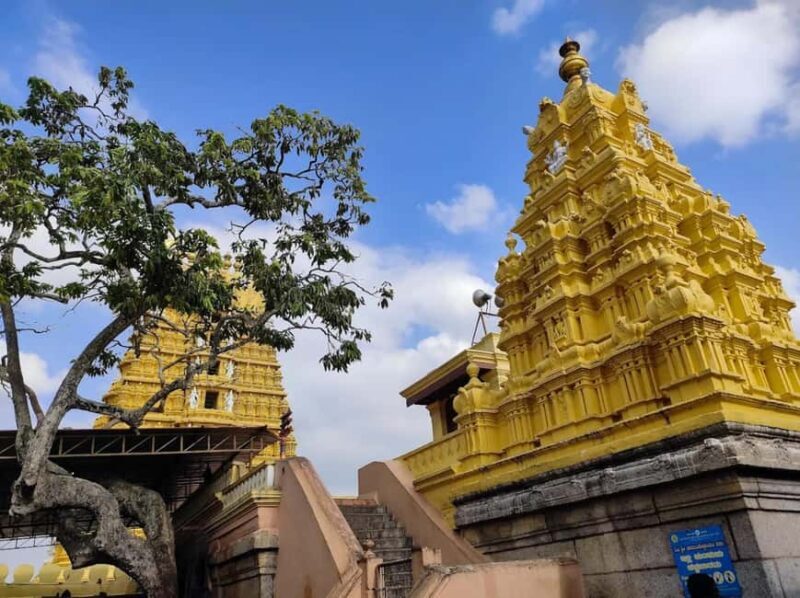 Day Trip to Mysore from Bengaluru with Car, Lunch, and Guide - Who Should Consider This Tour?