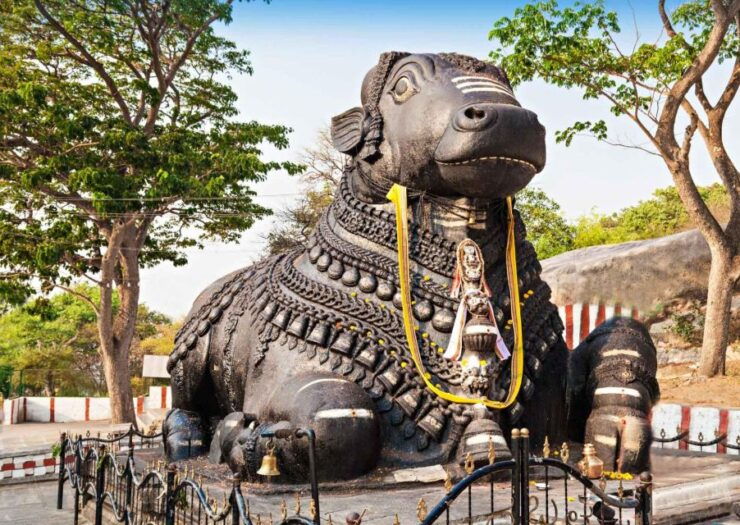 Day Trip to Mysore (Guided Sightseeing Tour From Bangalore) - Tour Highlights