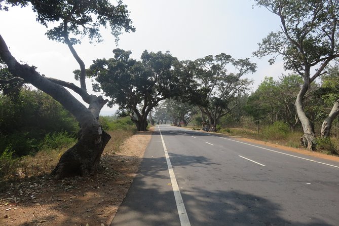 Day Trip to Nandi Hills (Guided Private Sightseeing Experience From Bangalore) - The Sum Up