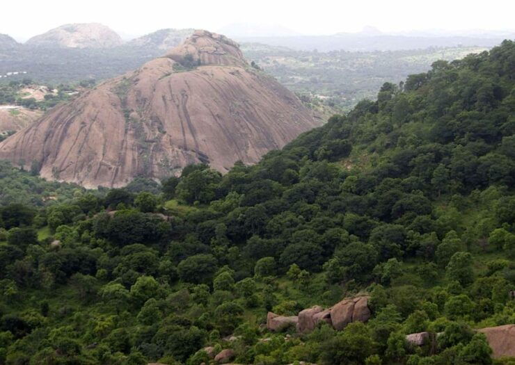 Day Trip to Nature Trails (Guided Tour From Bangalore) - Good To Know