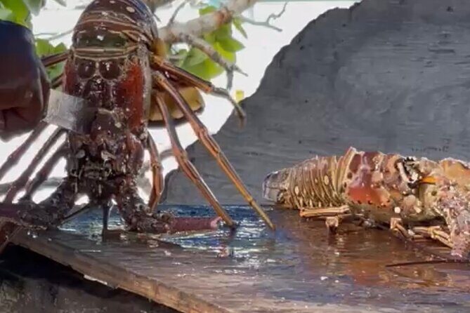 Day Trip to Negril from Montego Bay/Boat Ride to Booby Cay Island/Lobster Lunch - Authentic Experiences and Insider Insights