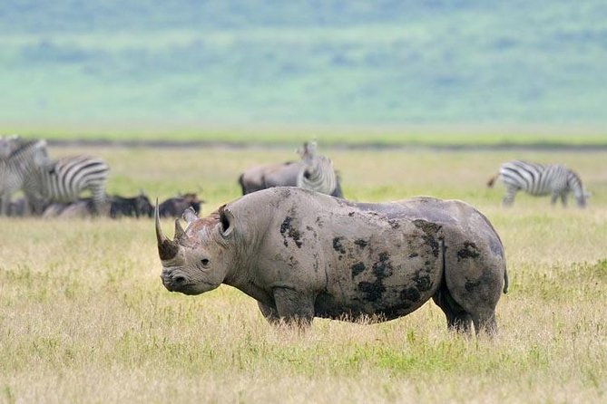 Day Trip to Ngorongoro Crater - Meeting and Pickup Details