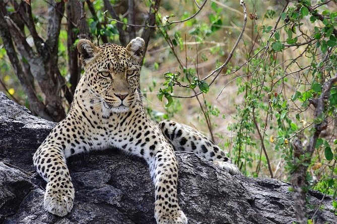 Day Trip to Ngorongoro Crater - Cancellation Policy