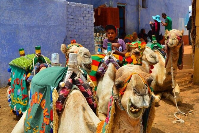 Day Trip to Nubian Village With Camel Tour From Aswan - Tour Overview