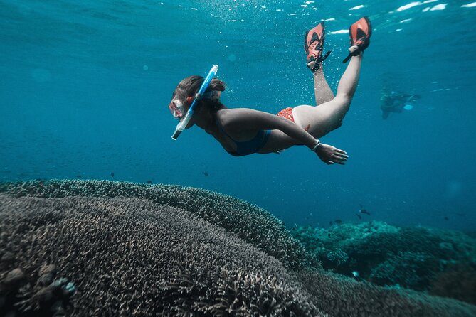 Day Trip to Nusa Penida: 4 Spots Snorkeling/Manta Ray Land Tour - Pricing and Booking