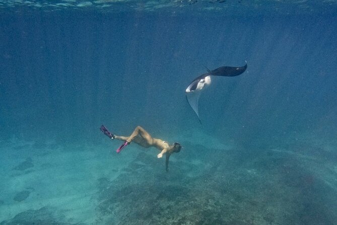 Day Trip to Nusa Penida: 4 Spots Snorkeling/Manta Ray Land Tour - End Point and Cancellation Policy