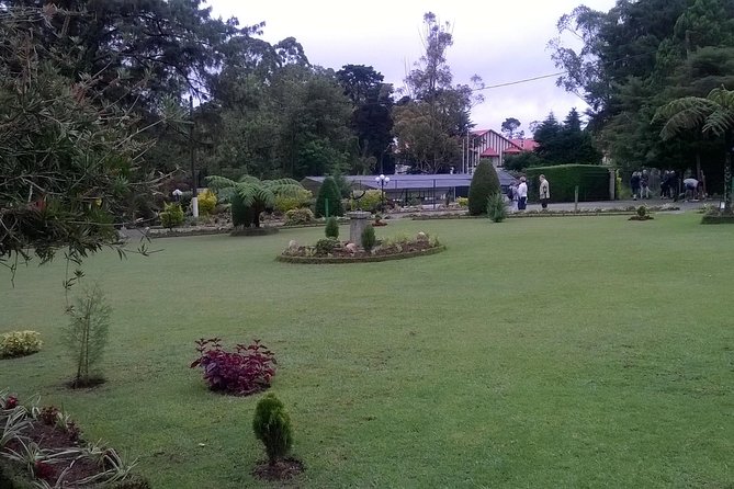 Day Trip to Nuwara Eliya From Kandy - Activities to Enjoy in Nuwara Eliya
