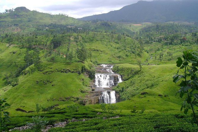Day Trip to Nuwara Eliya With Kingfisher Tours - Additional Information
