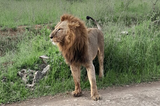 Day Trip To Ol Pejeta Conservancy Rhino And Chimpanzee Sanctuary - Tour Overview
