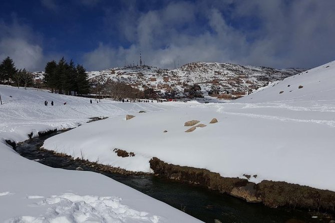 Day Trip to Oukaimeden and the Atlas Mountains - Reviews and Directions