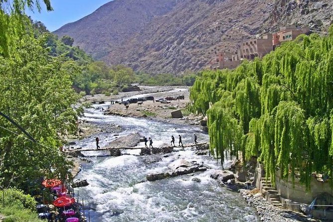 Day Trip To Ourika Valley - Ourika Valley Overview