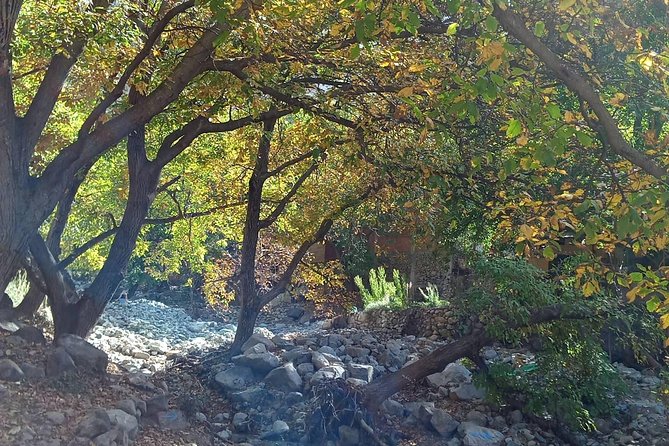 Day Trip to Ourika Valley and Atlas Mountains - Discovering Traditional Berber Villages