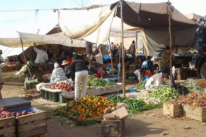 Day Trip to Ourika Valley and Atlas Mountains From Marrakech - Overview of Ourika Valley and Atlas Mountains