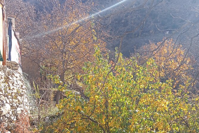 Day Trip to Ourika Valley From Marrakech - Highlights of Ourika Valley