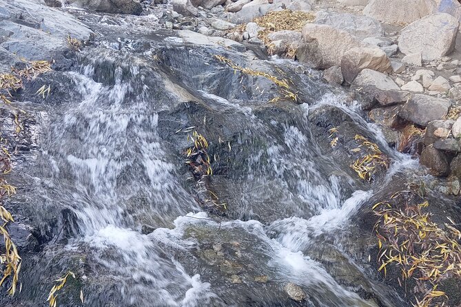 Day Trip to Ourika Valley From Marrakech - Itinerary for the Day Trip