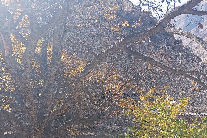 Day Trip to Ourika Valley From Marrakech - What to Pack for the Trip