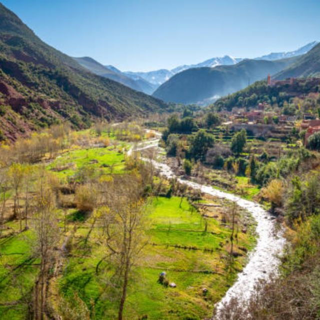 Day Trip to Ourika Valley From Marrakech With a Group - Activity Description and Inclusions