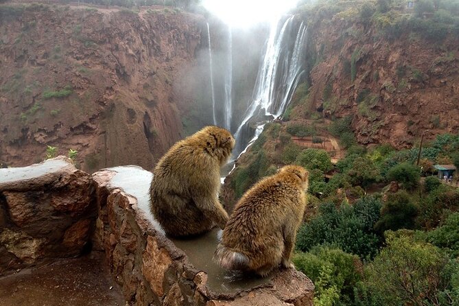 Day Trip to Ouzoud Waterfalls From Marrakech - Additional Information