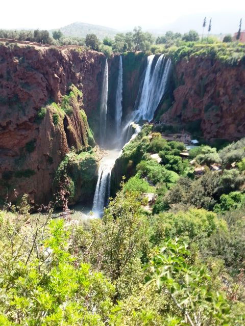 Day Trip to Ouzoud Waterfalls From Marrakech: Shared - Experience and Activities