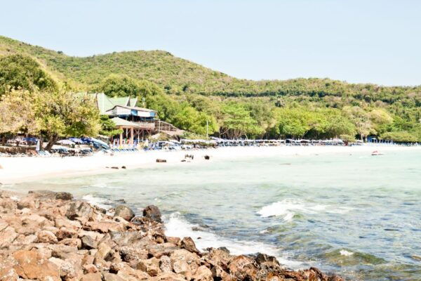 Day Trip to Pattaya City & Koh Larn Island Tour From Bangkok - The Sum Up