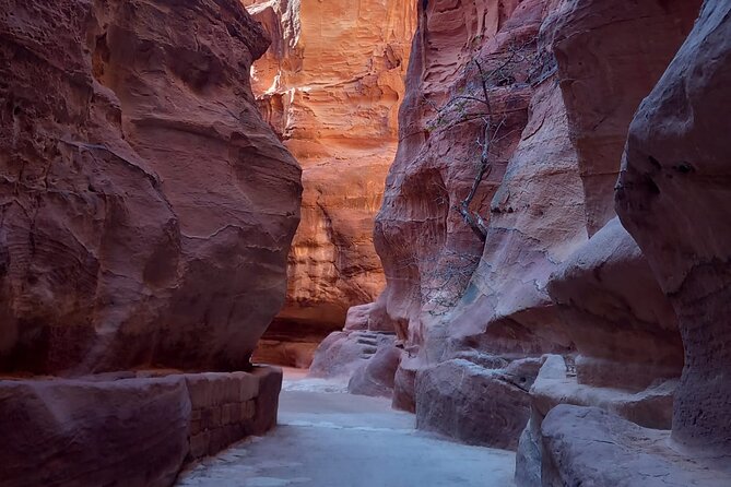 Day Trip to Petra by Ferry From Sharm El Sheikh - Overview and Inclusions