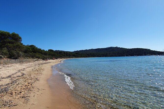 Day Trip to Porquerolles From Hyères - Traveler Photos and Reviews