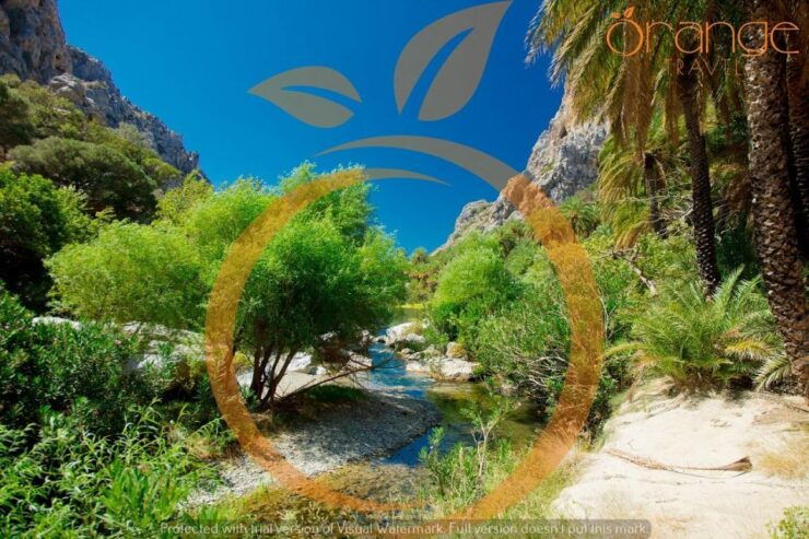 Day Trip to Preveli Palm Beach-Rethimno Full Day (Lunch Box) - Activity Details