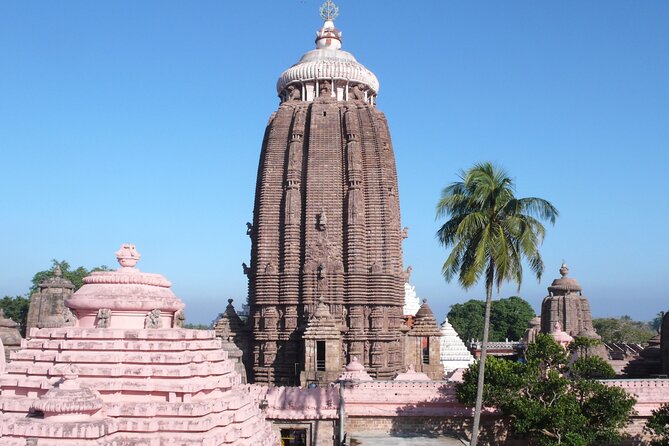 Day Trip to Puri (Guided Private Sightseeing Experience From Bhubaneswar) - Tour Highlights