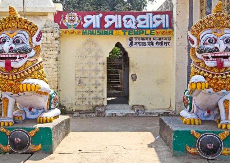 Day Trip to Puri (Guided Private Tour From Bhubaneswar) - Good To Know