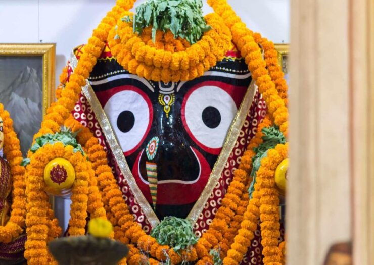 Day Trip to Puri (Guided Private Tour From Bhubaneswar) - Tour Details