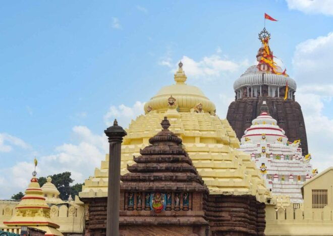 Day Trip to Puri (Guided Private Tour From Bhubaneswar) - Tour Inclusions