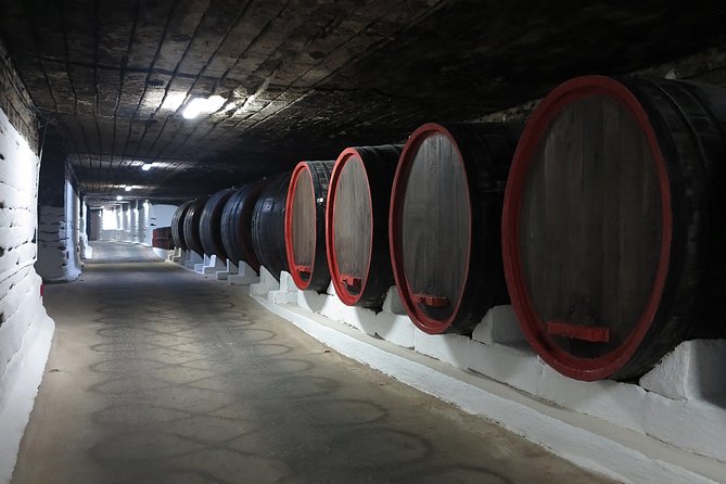 Day Trip to Republic of Moldova - Visit Chisinau and Cricova Winery - Tour Inclusions