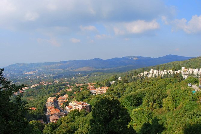 Day Trip To Roman Castles - Private Tour - Inclusions