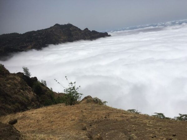 Day Trip to Santo Antão, Highlights, Departing From São Vicente at 11am - Frequently Asked Questions