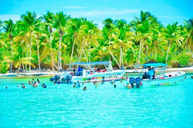 Day Trip to Saona Island with Lunch and Open Bar - Experience Breakdown: What to Expect on Your Day Trip to Saona Island