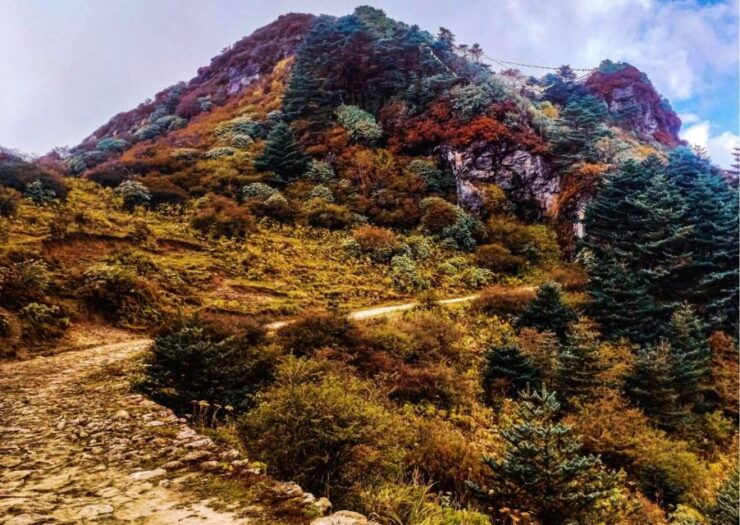 Day Trip to Singalila (Guided Private Sightseeing Tour) - Pricing and Duration