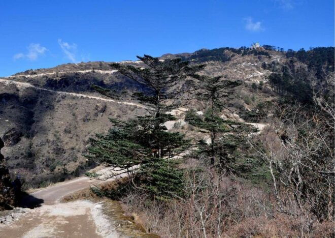 Day Trip to Singalila (Guided Private Sightseeing Tour) - Activity Highlights