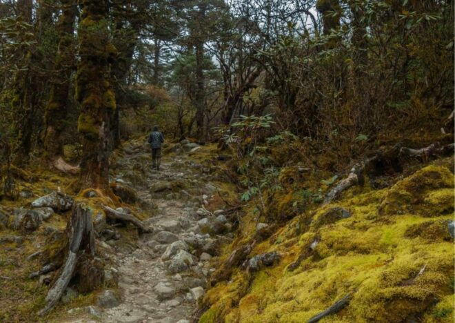 Day Trip to Singalila (Guided Private Sightseeing Tour) - Inclusions and Exclusions