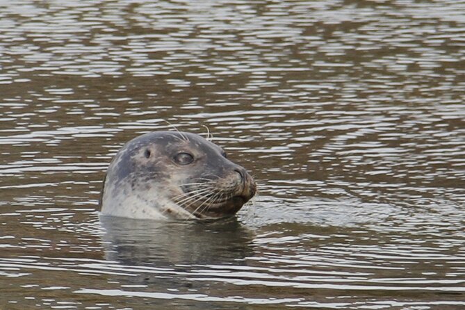 Day Trip to Snæfellsness Peninsula From Reykjavik - Price and Terms & Conditions