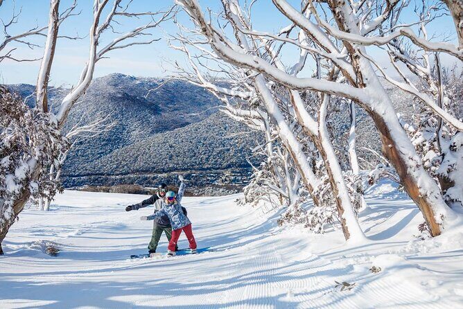 Day Trip To Snowy Mountains From Sydney - Who Should Consider This Tour?
