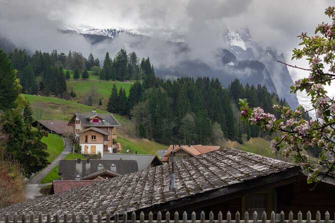 Day Trip to Swiss Villages (Interlaken-Grindelwald) With Local - Local Guide Experience