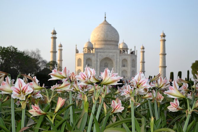 Day Trip to Taj Mahal and Agra From Kochi With Return Flights - Accessibility Information