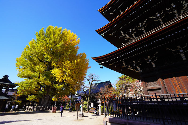Day trip to Takayama & Shirakawa-go with a local guide - Is $77.39 good value?