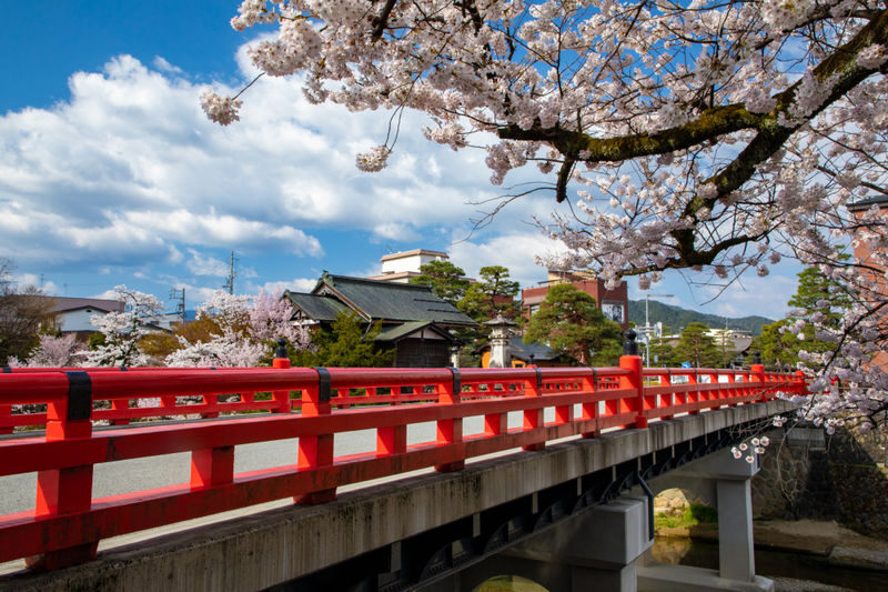 Day trip to Takayama & Shirakawa-go with a local guide - Who should book this tour?