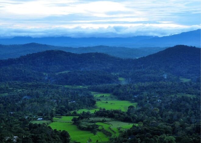 Day Trip to Tala Kaveri (Guided Tour by a Car From Coorg) - Additional Information