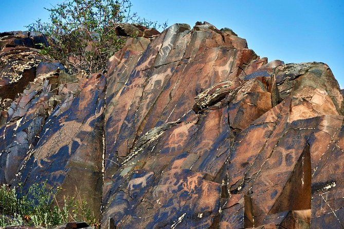 Day Trip to Tanbaly Petroglyphs - Reviews