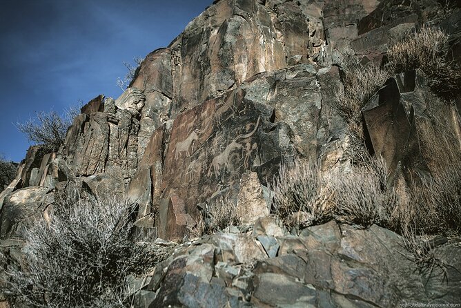 Day Trip to Tanbaly Petroglyphs - Additional Information