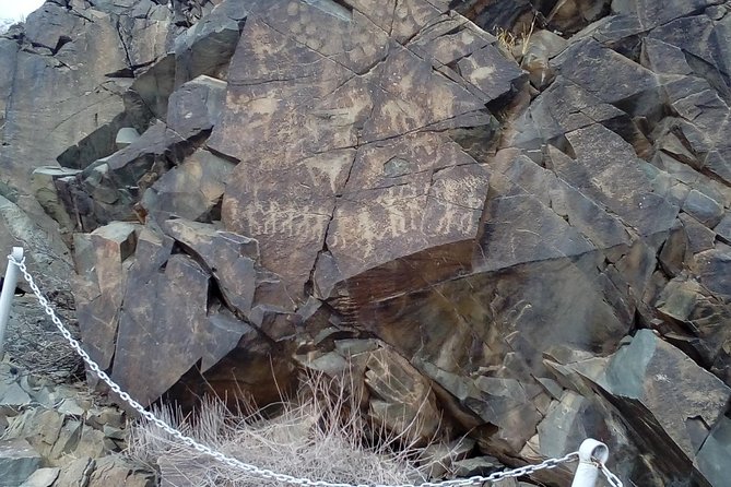 Day Trip to Tanbaly Petroglyphs - Operator and Location